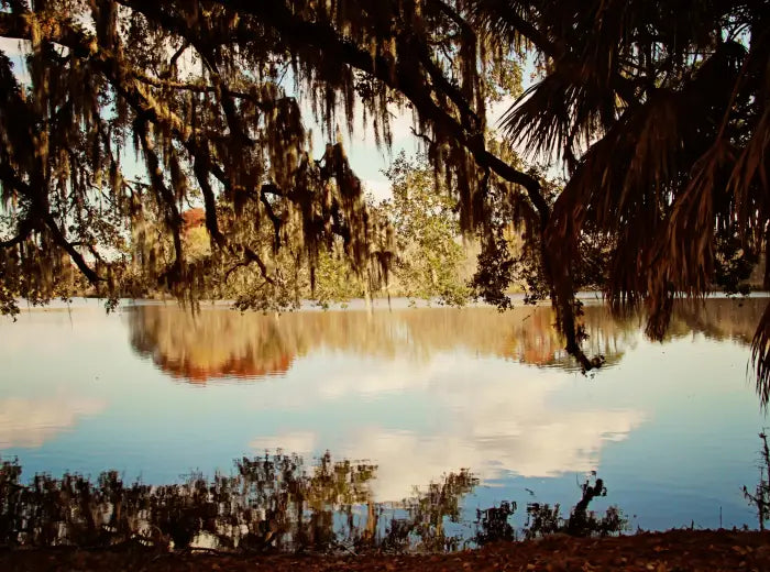 PARADISE SKIN AND BODY